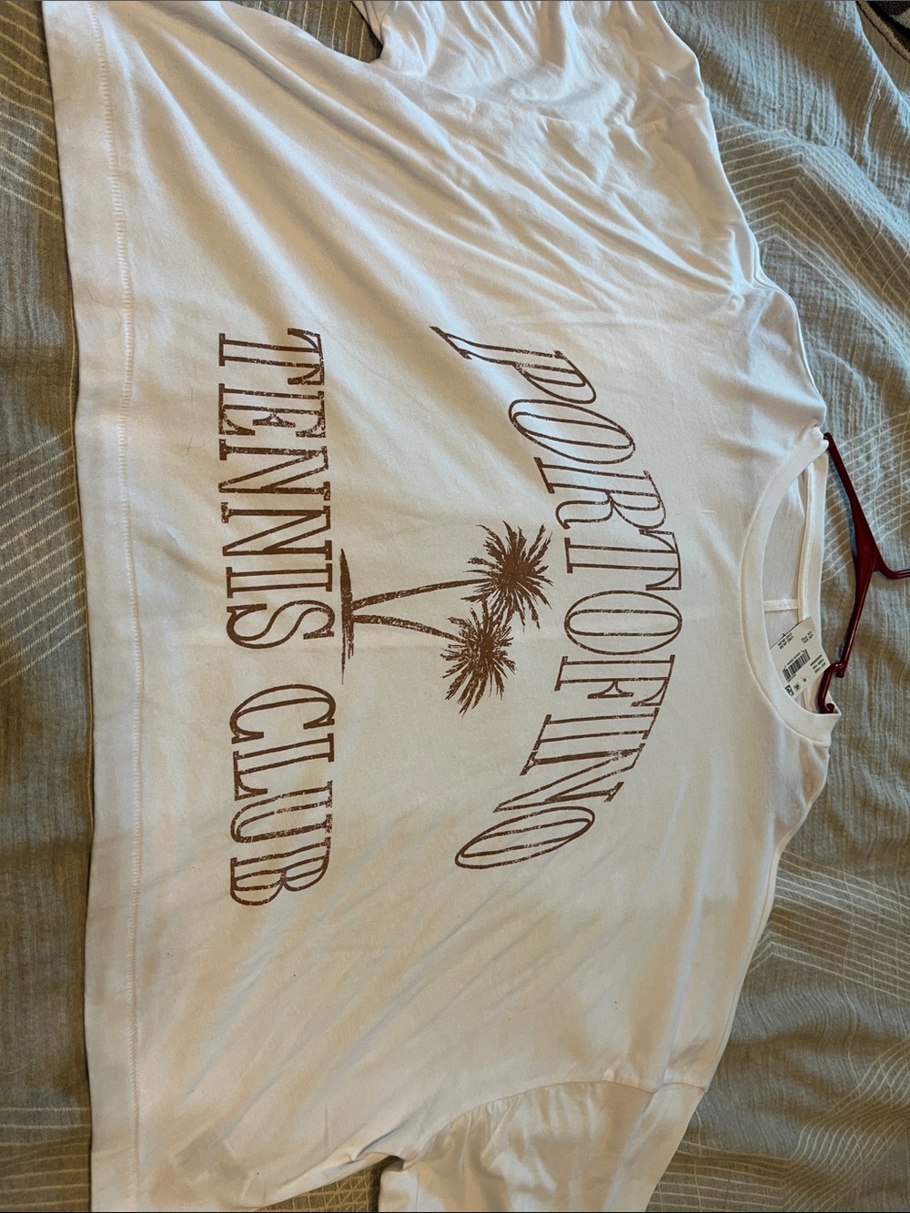 American Eagle Outfitters White Graphic Crop Tee with Brown Print